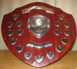 Albert Goldthorpe Shield