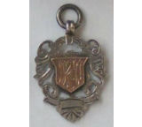 Goldthorpe Cup Medals