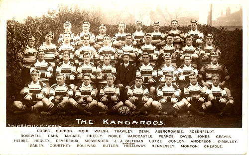 Kangaroos